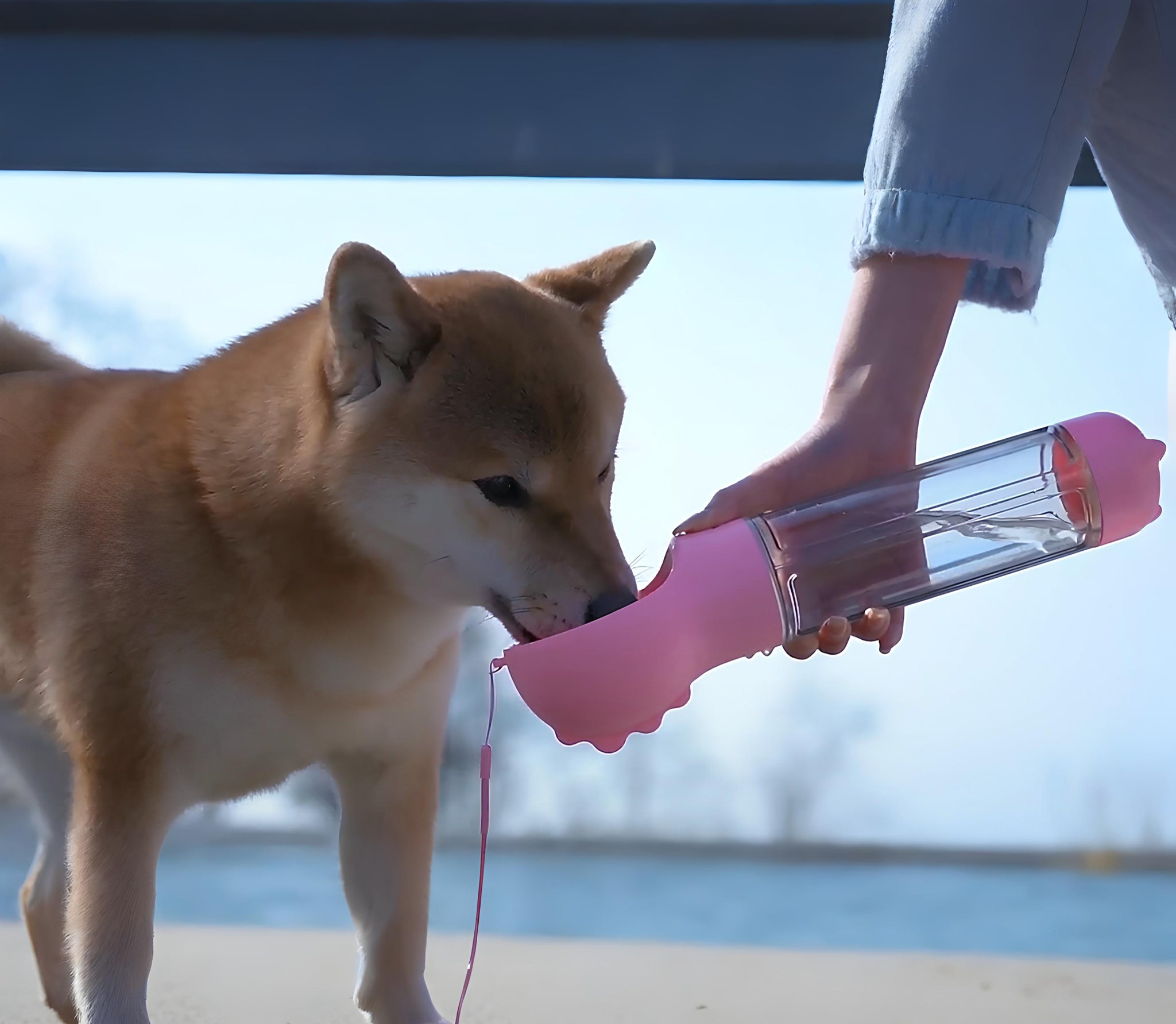 HydroPet - Borraccia multifunzione