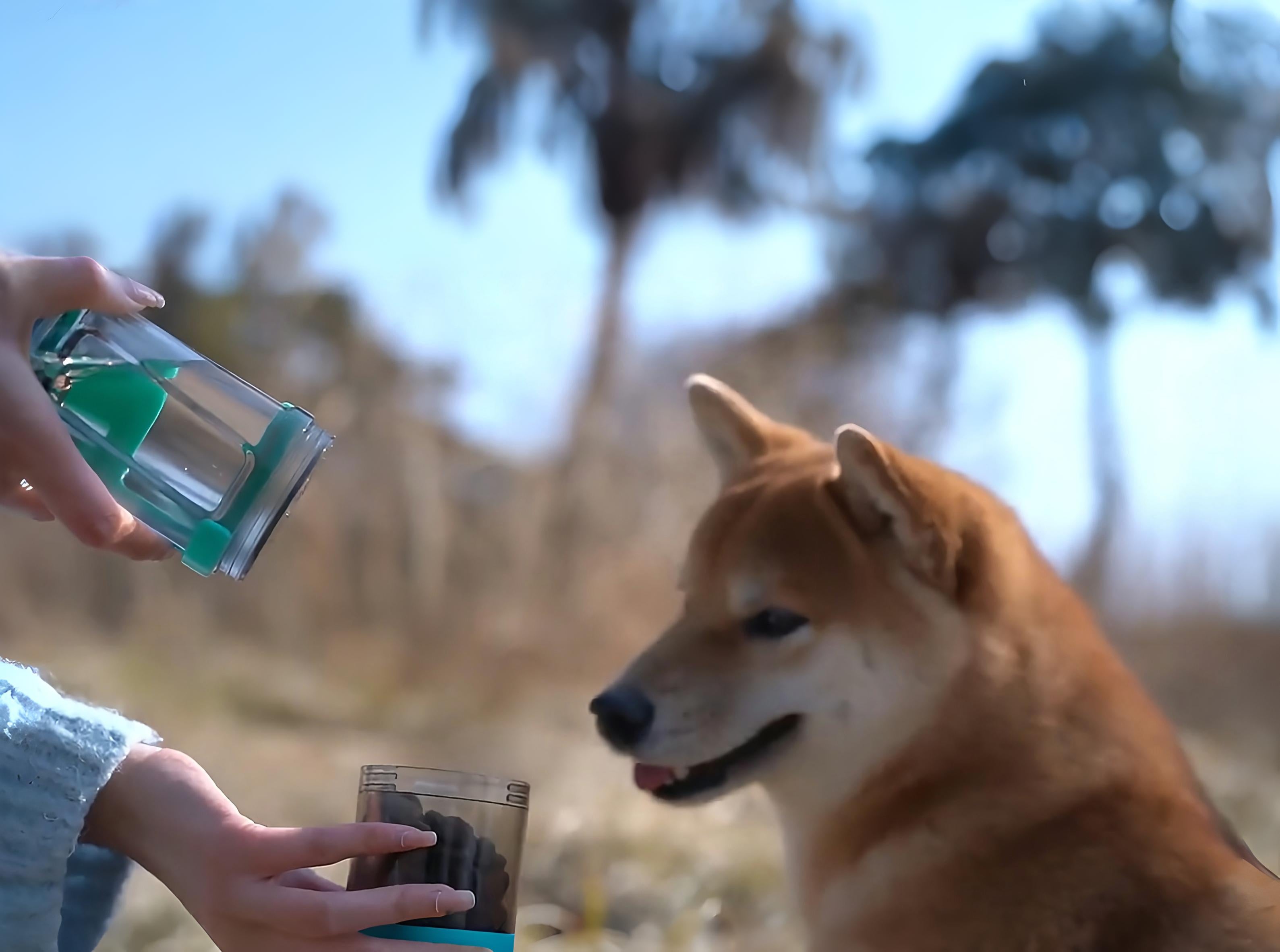 HydroPet - Borraccia multifunzione