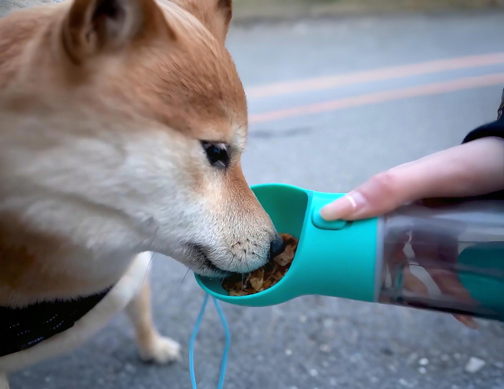 HydroPet - Borraccia multifunzione