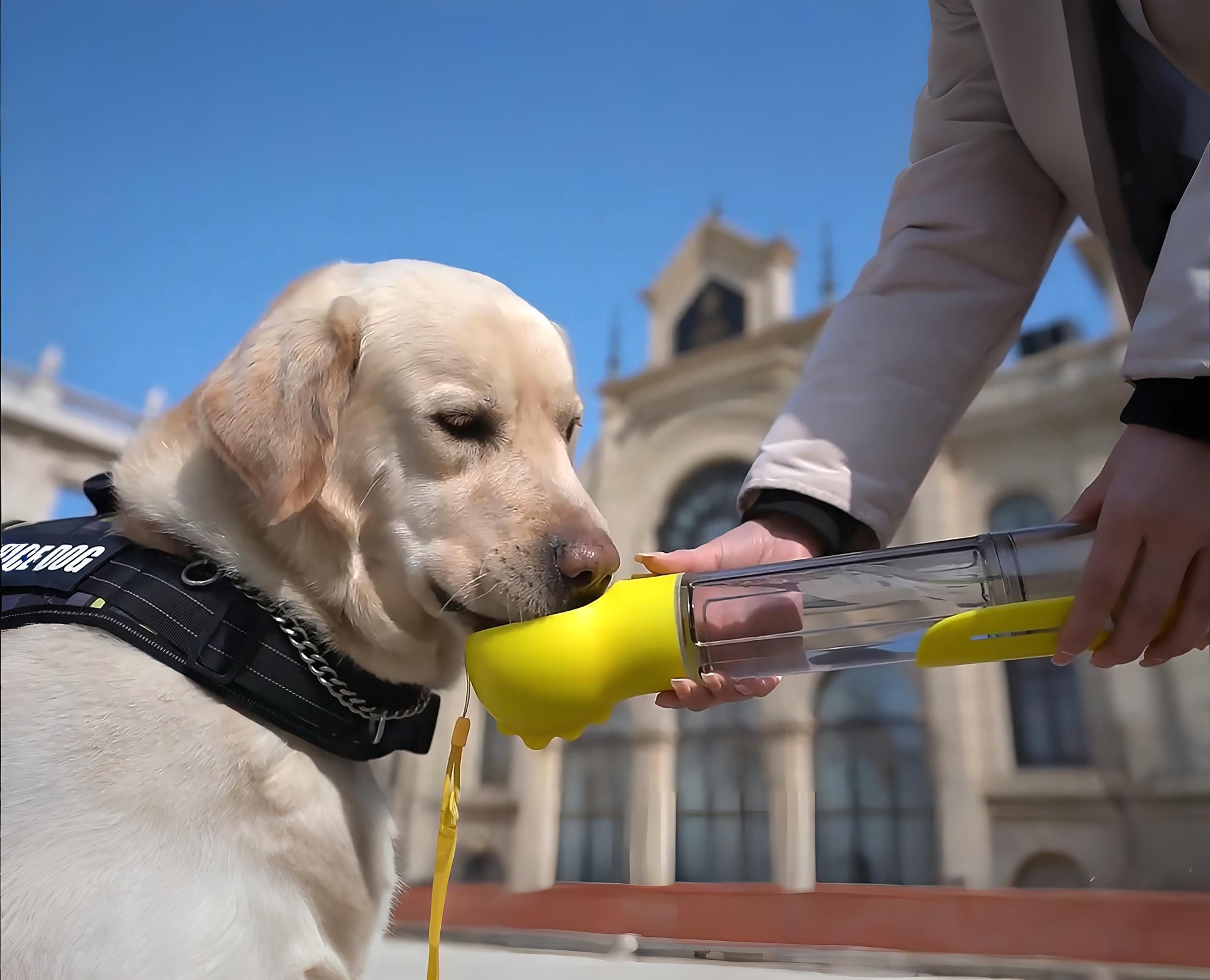 HydroPet - Borraccia multifunzione